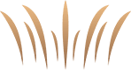 Crown Bayern
